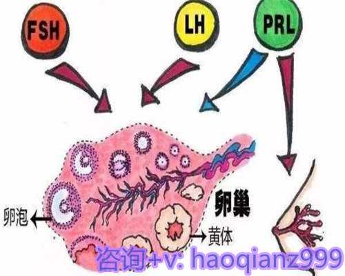 试管婴儿五个月安全指南与注意事项