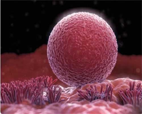 弱精症男性能否通过试管婴儿技术实现生育