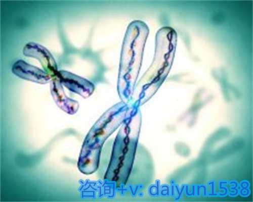 基础卵泡偏少情况下的试管婴儿应对策略