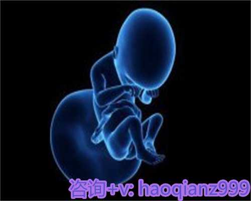 全面解析助孕全过程：从咨询到妊娠的详细指南